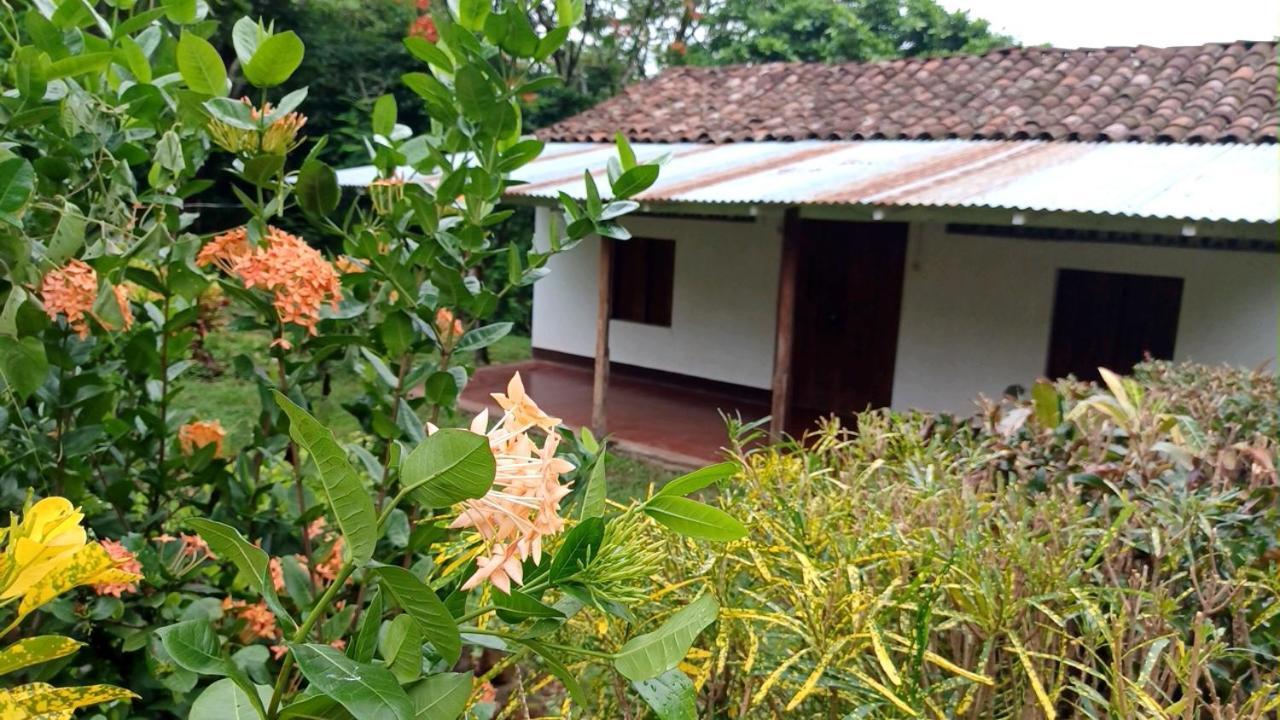 Finca Magdalena Eco Lodge Balgue Kültér fotó