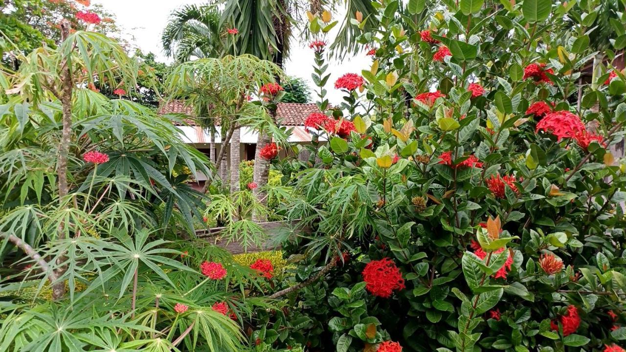 Finca Magdalena Eco Lodge Balgue Kültér fotó