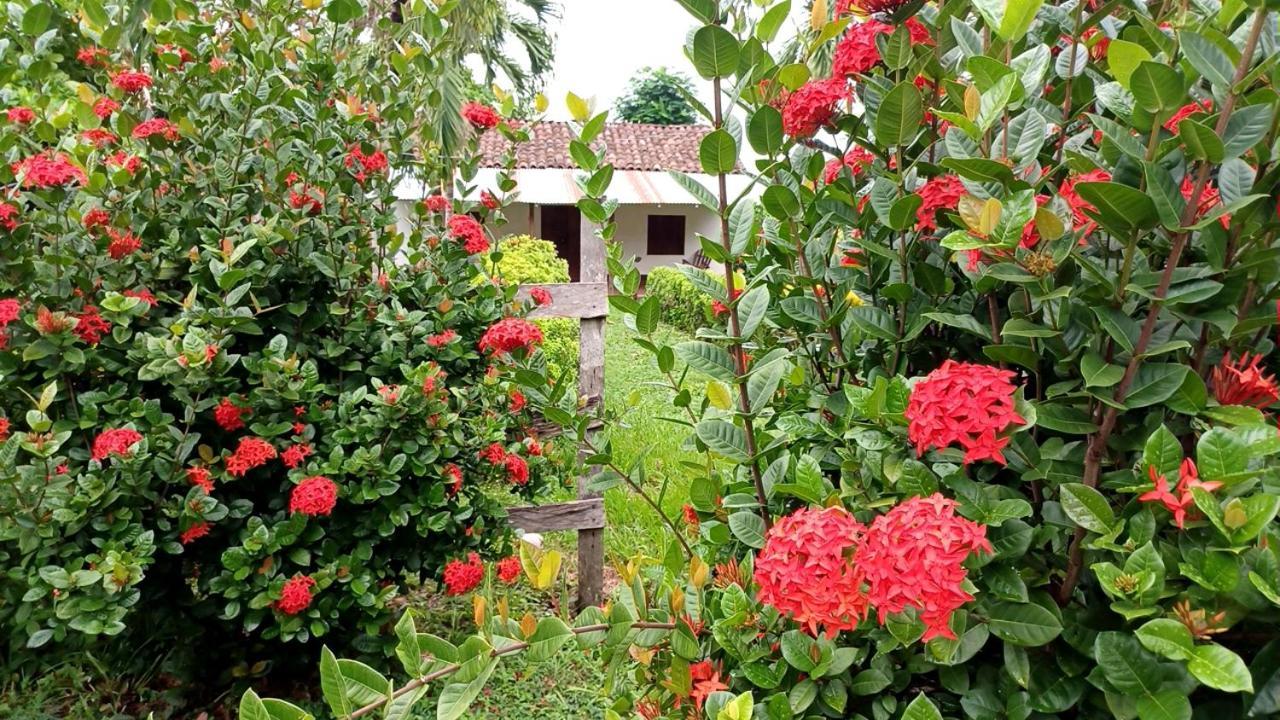 Finca Magdalena Eco Lodge Balgue Kültér fotó