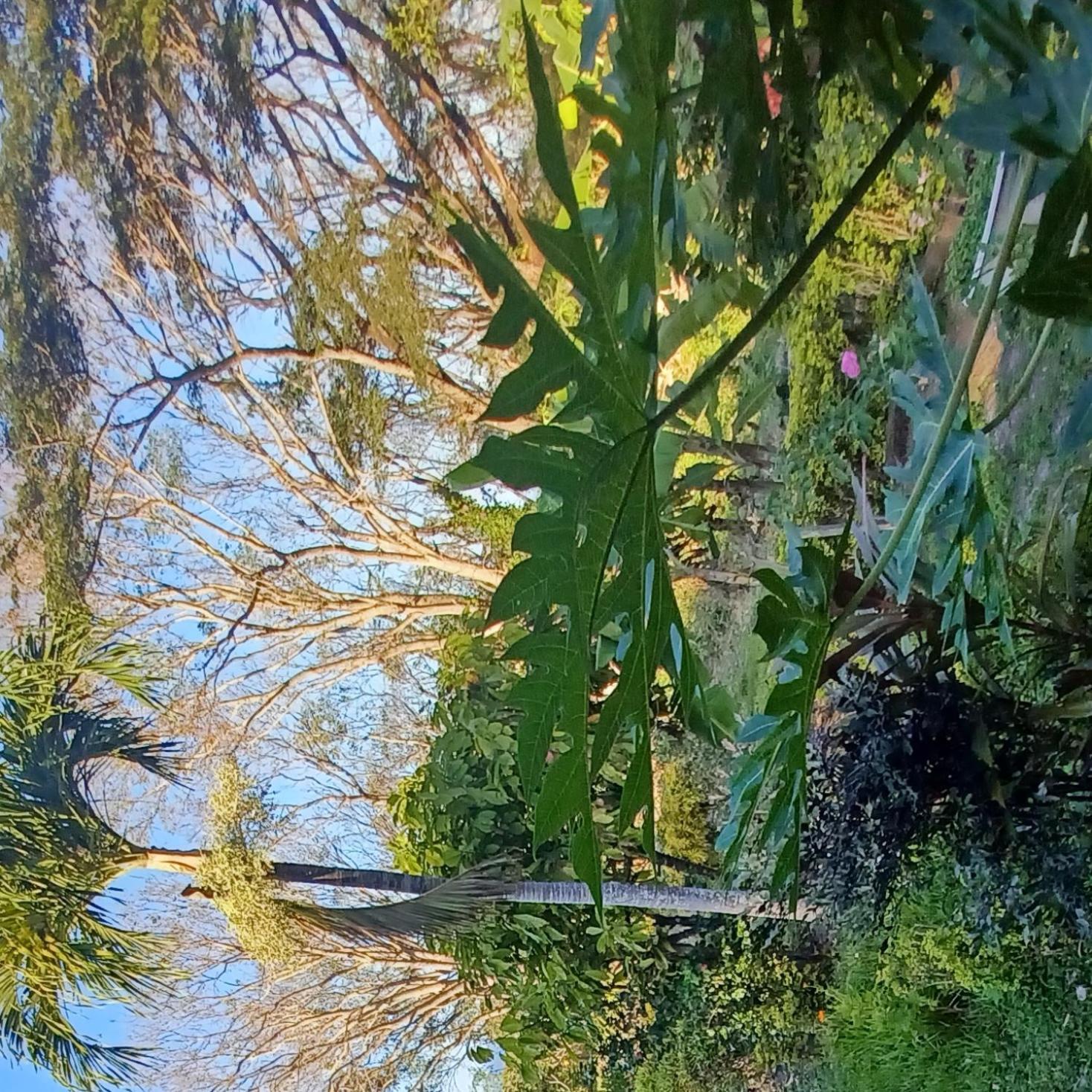 Finca Magdalena Eco Lodge Balgue Kültér fotó