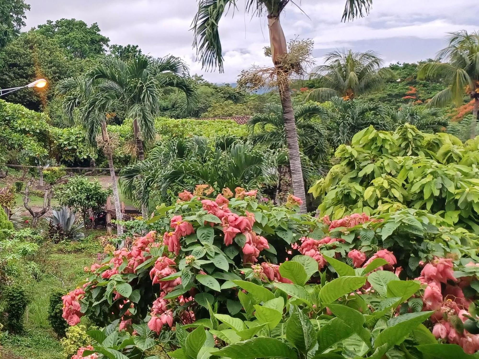 Finca Magdalena Eco Lodge Balgue Szoba fotó