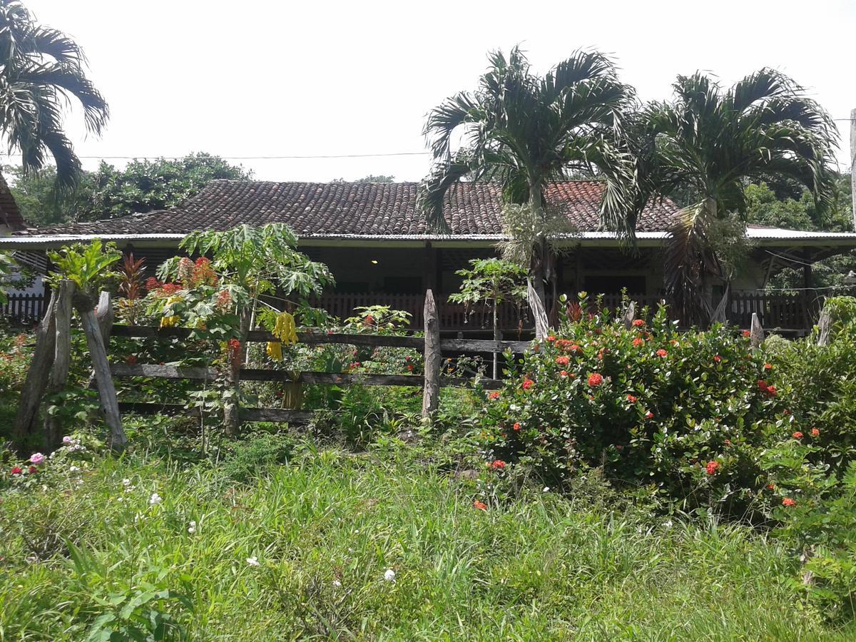 Finca Magdalena Eco Lodge Balgue Kültér fotó